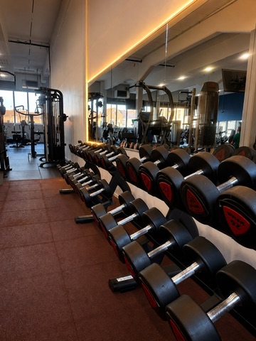 Haltères APEX CLUB Saint-Quentin